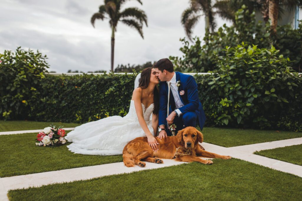 Lavender on the lake
Wedding venue pets